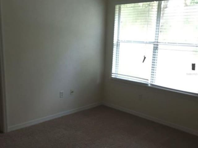 empty room featuring carpet, baseboards, and a wealth of natural light