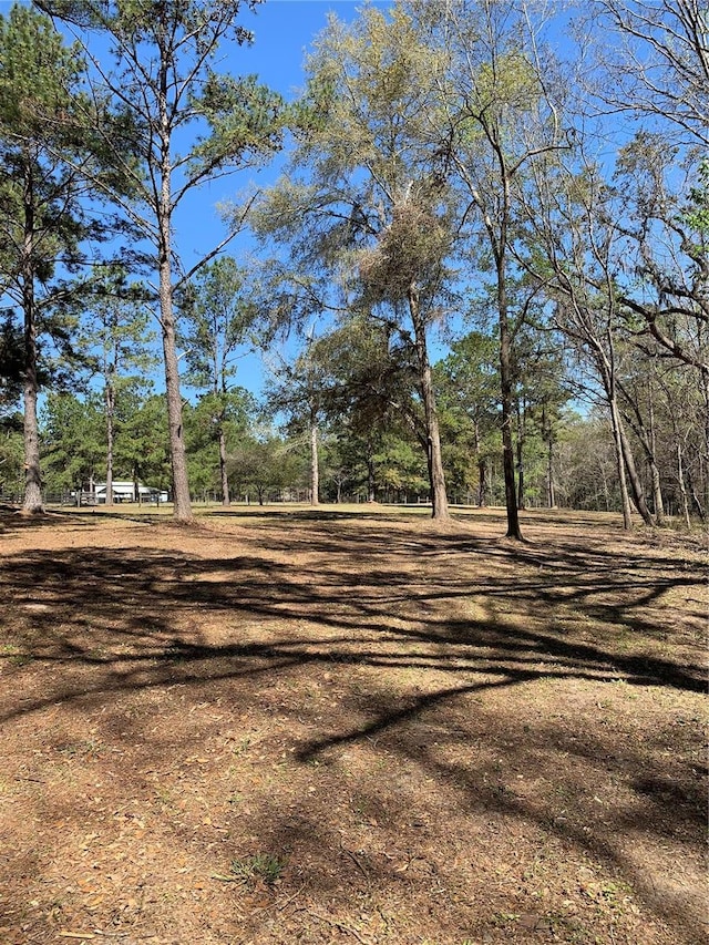 NW 169th Dr, Alachua FL, 32615 land for sale