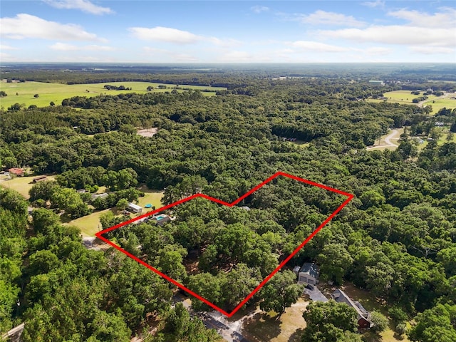 aerial view featuring a view of trees