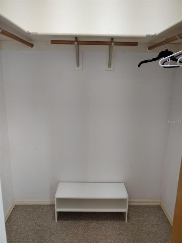 spacious closet with carpet floors