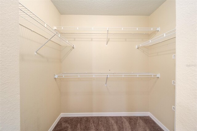 walk in closet with carpet floors