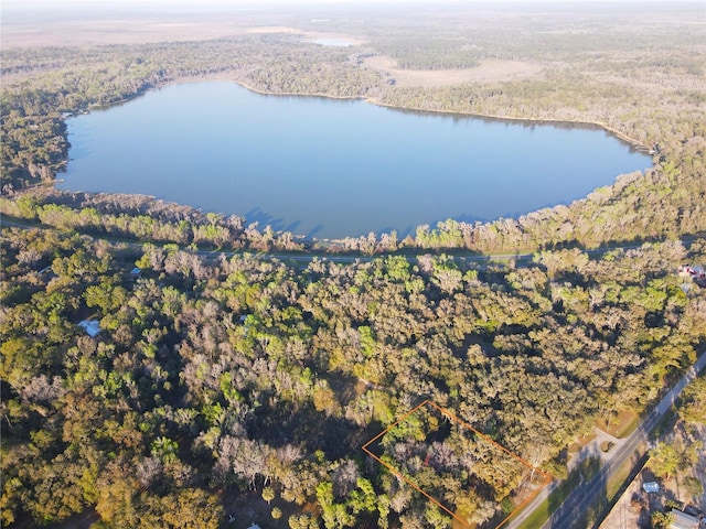 aerial view featuring a water view and a wooded view