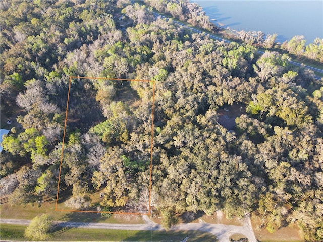 aerial view with a view of trees