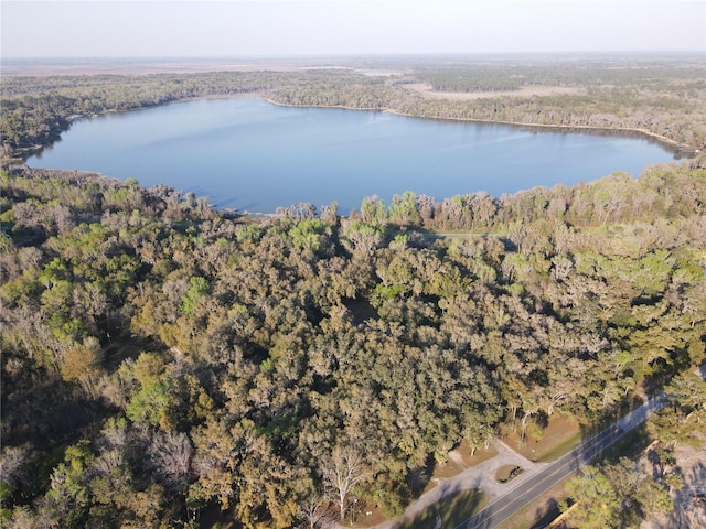 bird's eye view featuring a water view and a view of trees