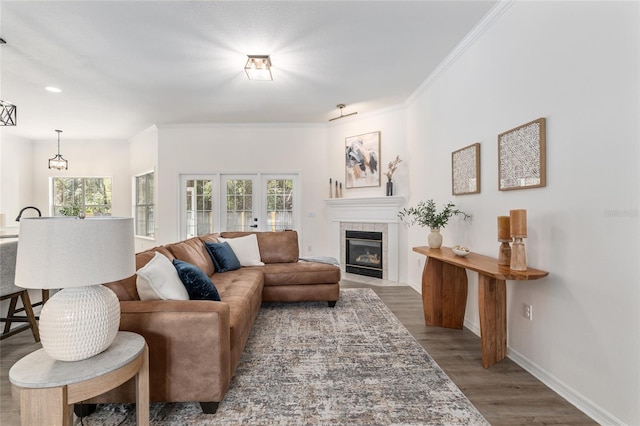 living area featuring baseboards, a fireplace, wood finished floors, and crown molding