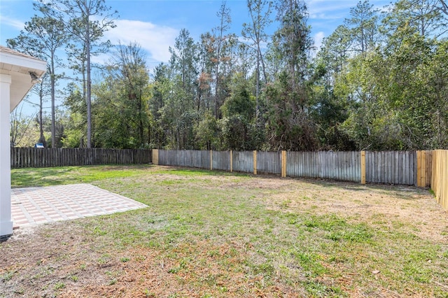 view of yard with a patio area and a fenced backyard