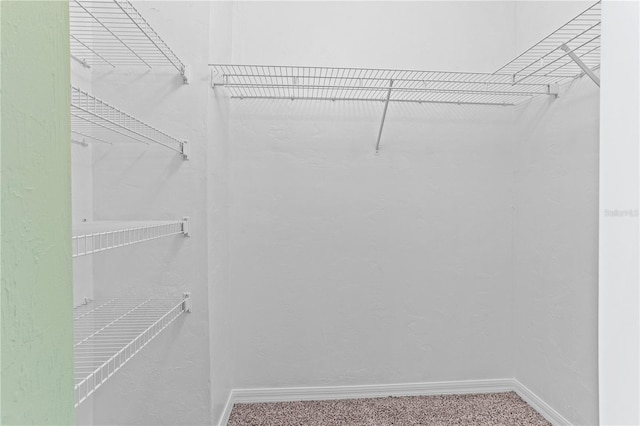 spacious closet with carpet