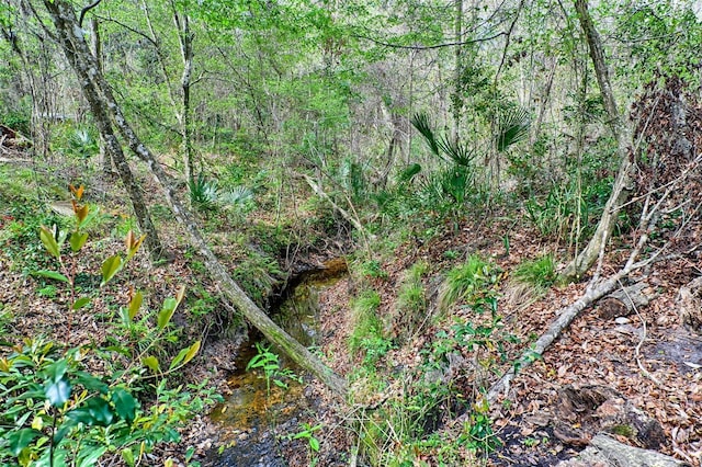 view of nature featuring a forest view