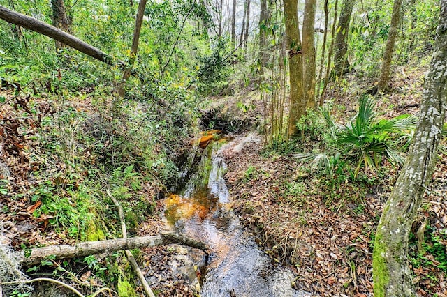 view of nature featuring a forest view