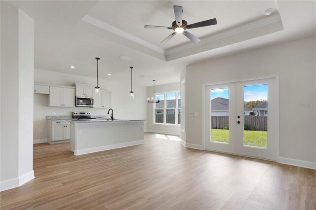 kitchen with light wood-style floors, appliances with stainless steel finishes, a raised ceiling, and a wealth of natural light