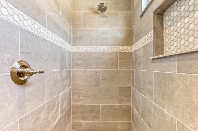 interior details with tiled shower