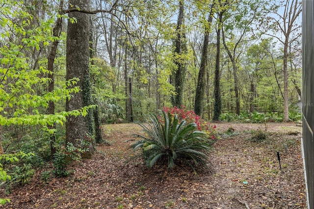 view of yard featuring a wooded view