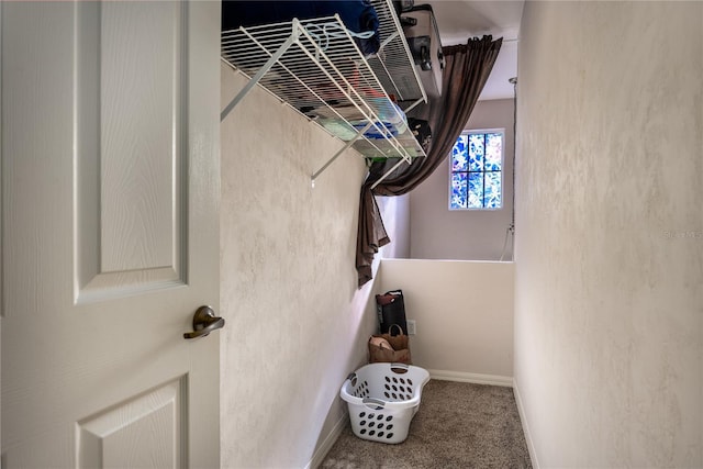 walk in closet featuring carpet