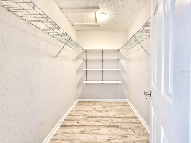 walk in closet featuring wood finished floors