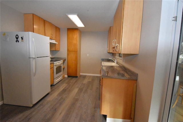 kitchen featuring brown cabinetry, a sink, wood finished floors, white appliances, and under cabinet range hood