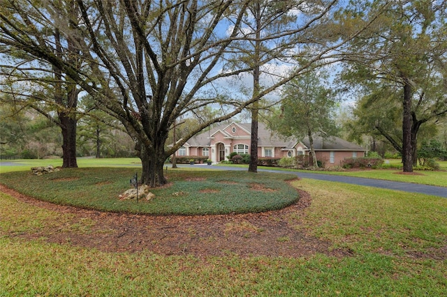 view of front facade featuring a front yard