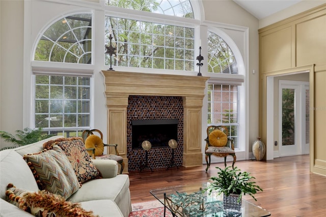 living room featuring a fireplace, high vaulted ceiling, and wood finished floors