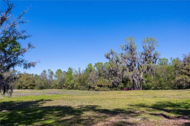 view of yard with a view of trees