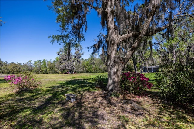 view of yard with a wooded view