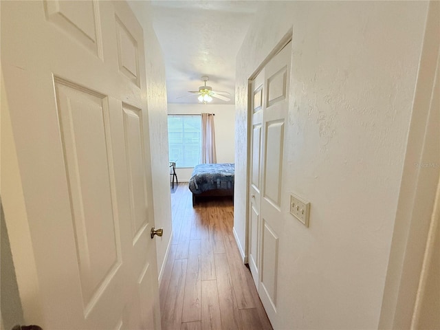 hallway with a textured wall and wood finished floors