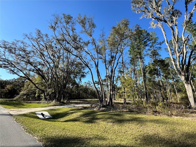 Listing photo 3 for 1163 SW 175th Ct, Newberry FL 32669