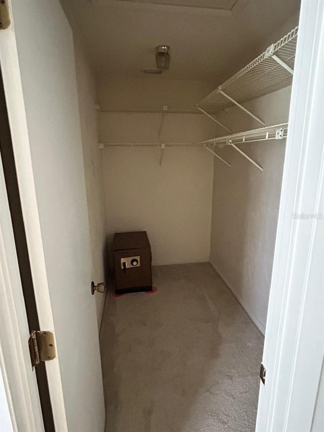 view of walk in closet