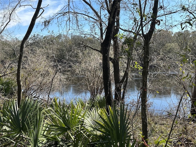 TBD 198th Trail, O'Brien FL, 32071 land for sale