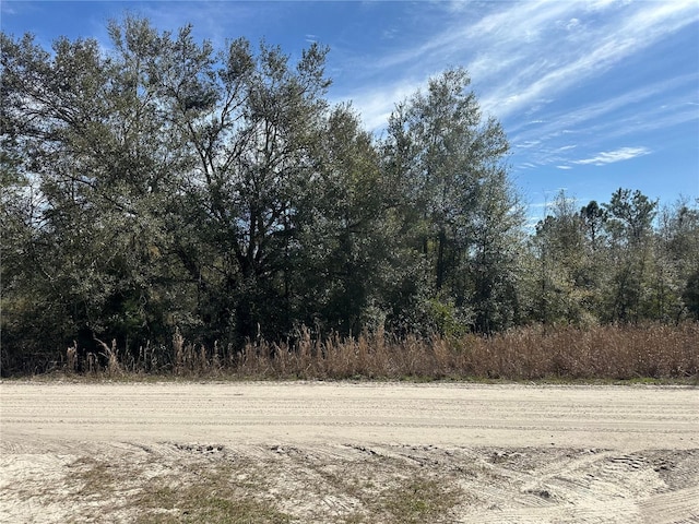 Listing photo 2 for TBD 198th Trail, O'Brien FL 32071