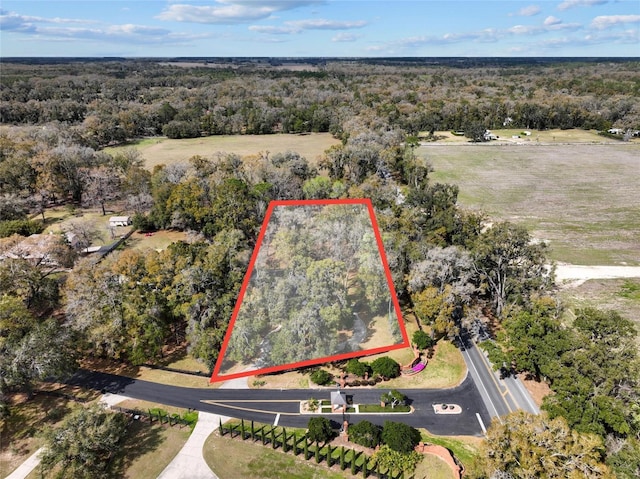 aerial view with a view of trees