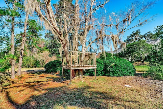 view of yard featuring a wooden deck