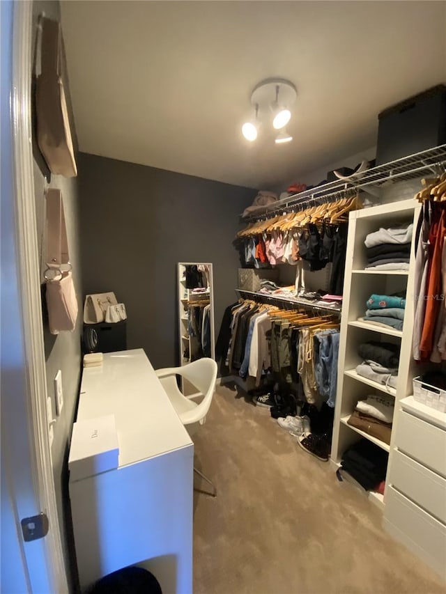 spacious closet featuring carpet floors