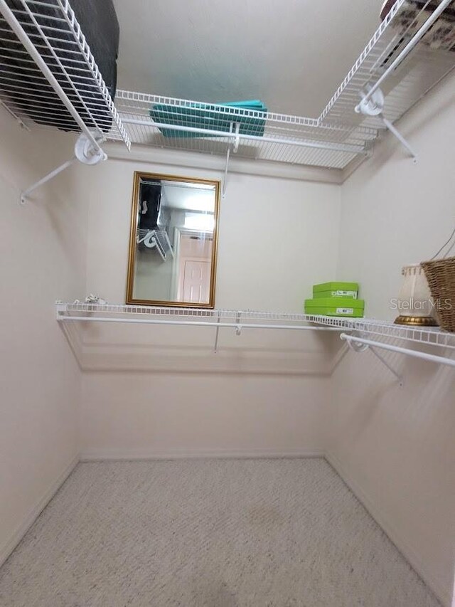 3441 NW 104th Way, Gainesville, FL 32606 - walk in closet with carpet flooring