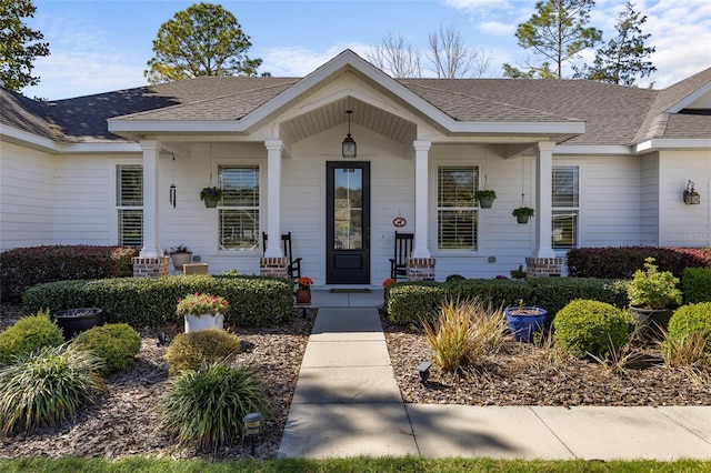 view of exterior entry featuring covered porch and a shingled roof