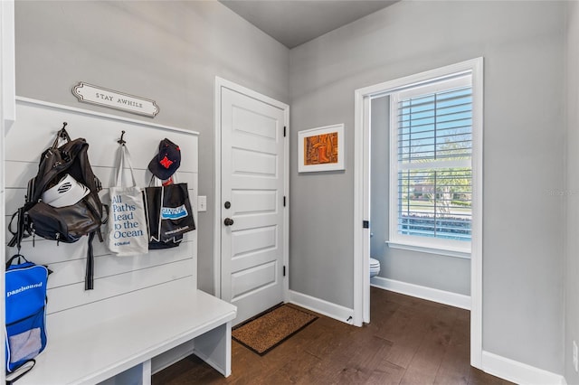 mudroom featuring baseboards and dark wood-style flooring