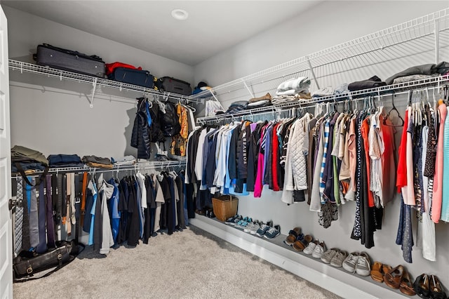 spacious closet featuring carpet flooring