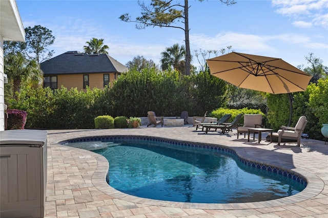 pool with a patio area