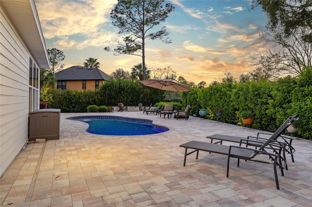 view of pool featuring a fenced in pool and a patio area