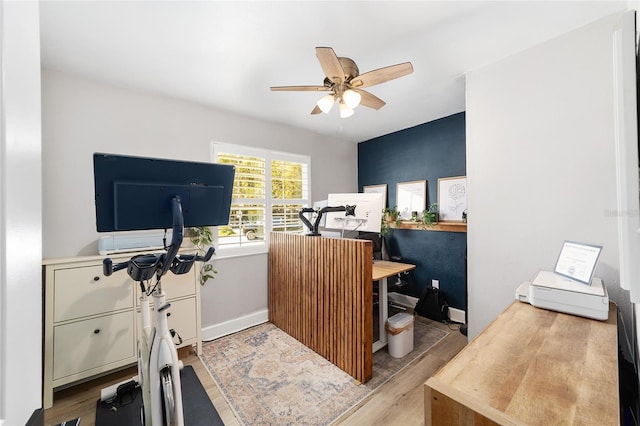 office featuring ceiling fan, baseboards, and light wood-style flooring