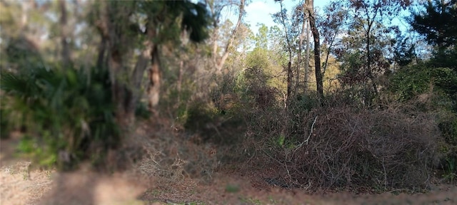 Listing photo 2 for LOT12 NW 70th Cir NW, Chiefland FL 32626