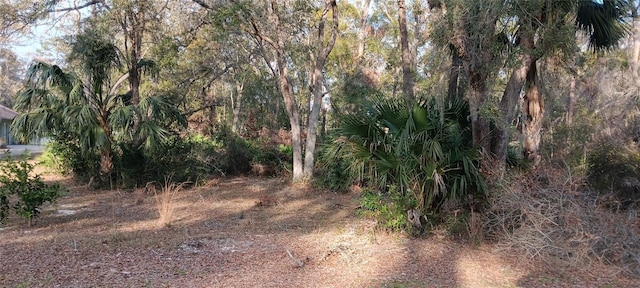 Listing photo 3 for LOT12 NW 70th Cir NW, Chiefland FL 32626