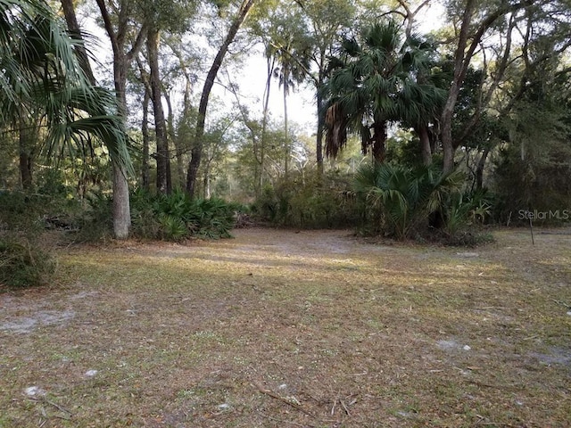 LOT12 NW 70th Cir NW, Chiefland, FL 32626 - photo 1