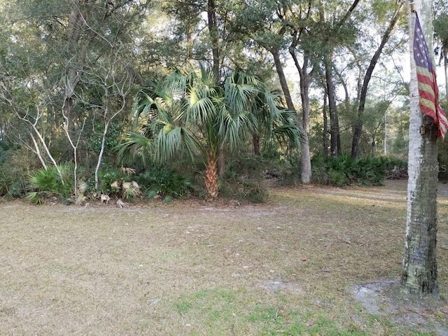 LOT12 NW 70th Cir NW, Chiefland, FL 32626 - photo 2