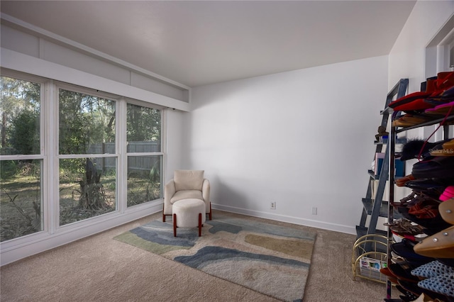 sitting room with baseboards and carpet flooring