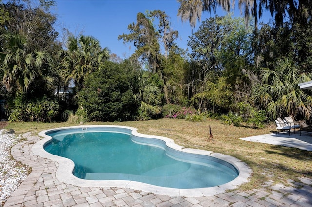 outdoor pool featuring a patio area