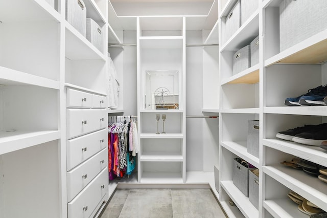 view of spacious closet