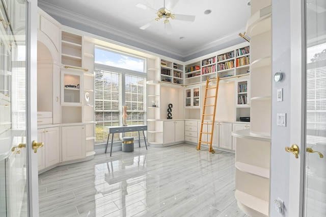 interior space featuring a ceiling fan and crown molding