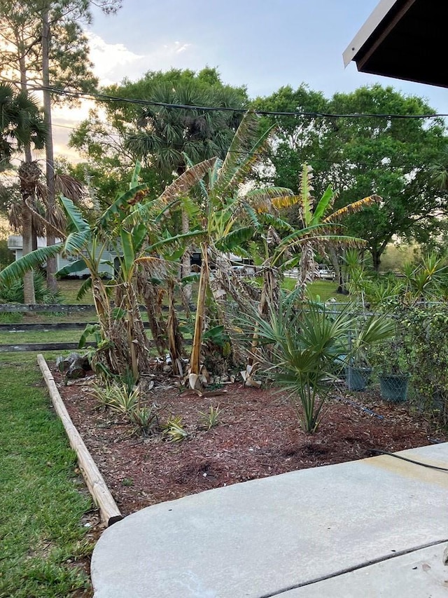 view of yard with a patio