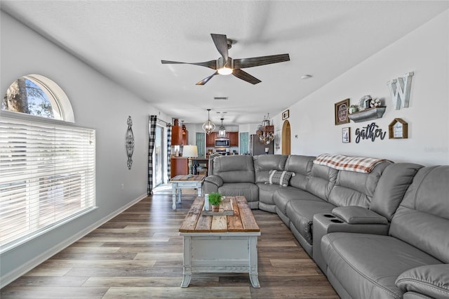 living room with a healthy amount of sunlight, ceiling fan, a textured ceiling, and wood finished floors