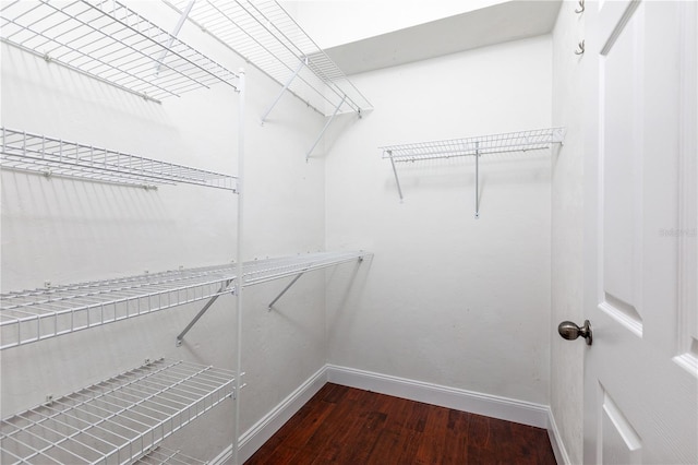 walk in closet with dark wood-style flooring