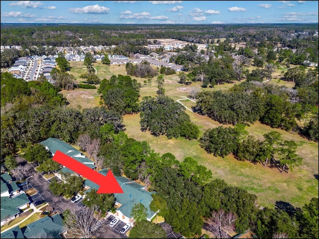 drone / aerial view